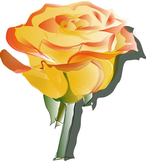 Free Yellow Rose Clipart, Download Free Yellow Rose Clipart png images ...