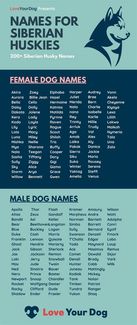 a blue and white poster with the names of dogs in different colors, sizes and font