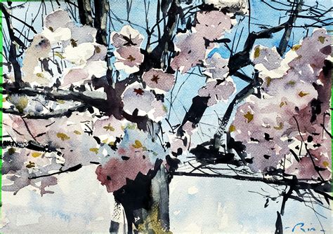 Cherry blossoms watercolor painting I did last Spring in High Park ...