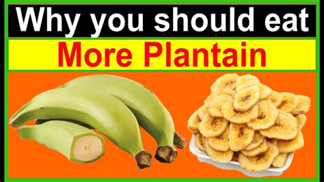 Unleashing the Superpowers of Plantain: Health Benefits That'll Amaze ...