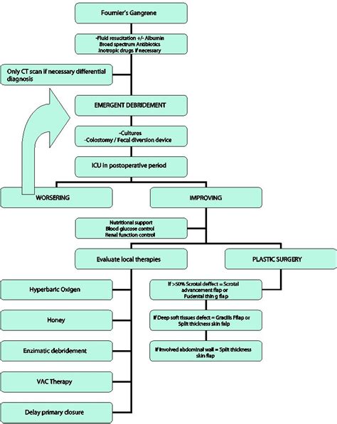 Fournier’s Gangrene – Medical and Surgical Considerations | IntechOpen