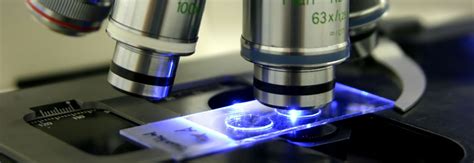 Forensic Science: Real Recent Forensic Science Cases