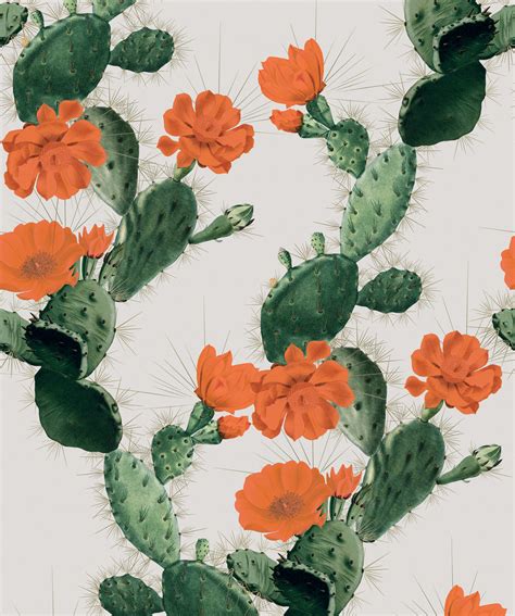 Home Décor Wall Decals & Murals Home & Living Botanical Wallpaper Boho Decor Prickly Pear Cactus ...