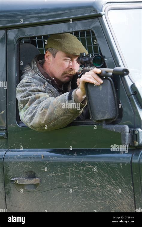 A Game Keeper shooting pests during the day from a Land Rover vehicle using a rifle Stock Photo ...