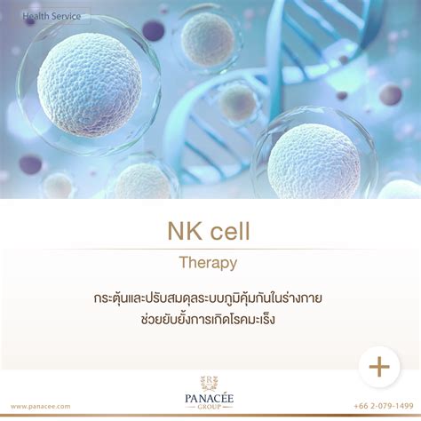 NK Cell Therapy – Panacee Med