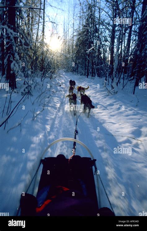 Talkeetna alaska winter hi-res stock photography and images - Alamy