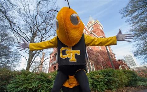 Risultati immagini per buzz ga tech mascot | Georgia football, Football, Mascot