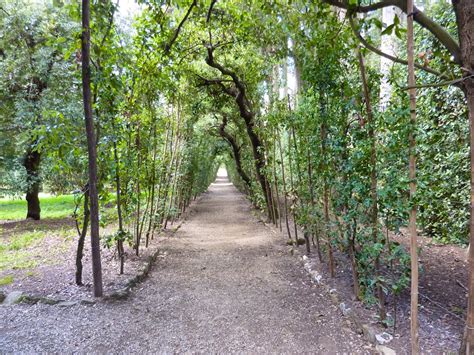 Boboli Gardens in Florence: Visit the Boboli Garden Behind Palazzo ...