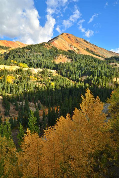 Red Mountain Pass Fall Colors Photograph by Ray Mathis - Fine Art America