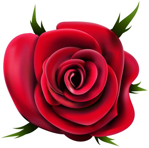 Rose family clipart 20 free Cliparts | Download images on Clipground 2024