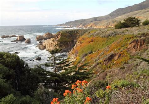 Garrapata State Park Hiking Trails, Carmel-By-The-Sea, CA - California Beaches