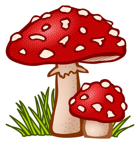 OnlineLabels Clip Art - Toadstool - Coloured