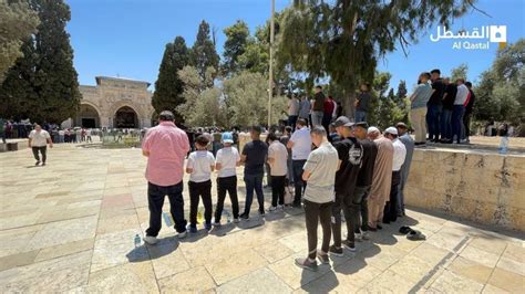 Pictures||Thousands of Palestinian Worshipers Pray in Al-Aqsa Mosque