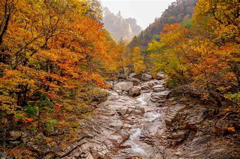 Seoraksan National Park, Best Day Trips for Autumn in Korea - Live ...