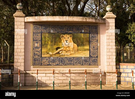 A Lion Picture at the entrance to Sasan Gir National Park in Gujarat, India Stock Photo - Alamy