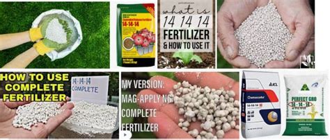 14-14-14 Fertilizer Guide: How and When to Use Triple 14