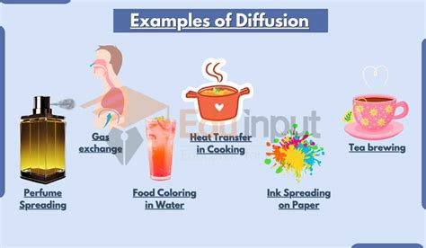 Diffusion Examples-18 Everyday Diffusion Demonstrations