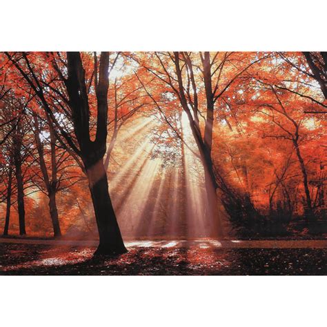 Sunlight Through Fall Trees Canvas Wall Art, 36" x 24" | At Home Tree ...