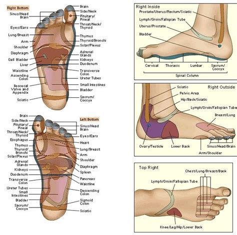 Foot Charts (640×637) | ~~Health ⊱Recipes & Tips⊰ | Pinterest | Foot chart and Reflexology