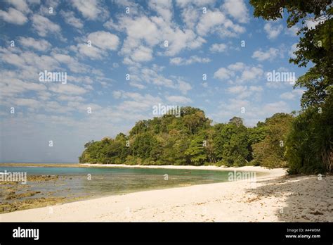 India Andaman and Nicobar Havelock Island Radha Nagar lagoon beach in early morning Stock Photo ...