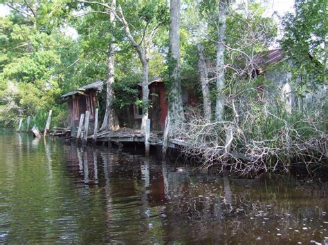 Alligator River National Wildlife Refuge, a North Carolina natlwild