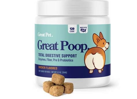 Soft Dog Poop: Causes and How to Help | Great Pet Care