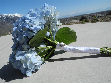 The Flower Girl Blog: blue hydrangea bouquet