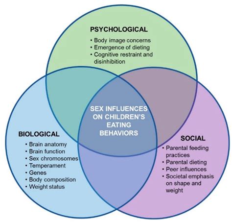 The Biopsychosocial Model