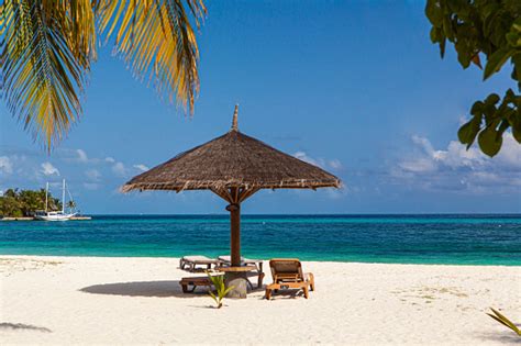 A Stunning View Of A Beach In The Maldives Paradise Island Stock Photo - Download Image Now - iStock