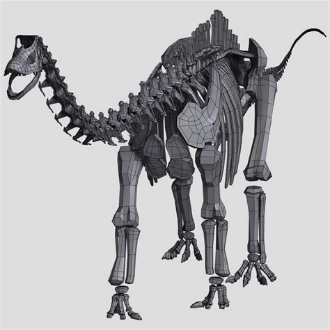 3d dino skeleton diplodocus bones