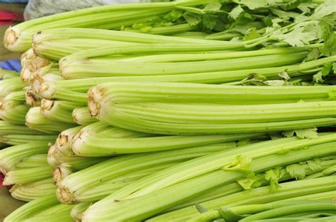 Celery for High Blood Pressure - Just Naturally Healthy