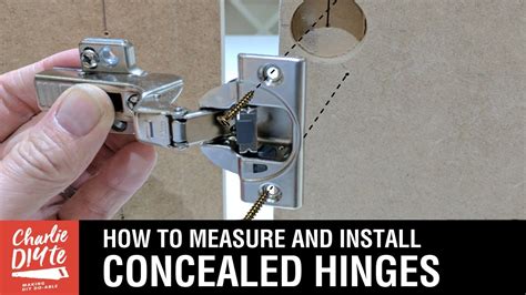 Blum Cabinet Hinge Installation Instructions | Review Home Co