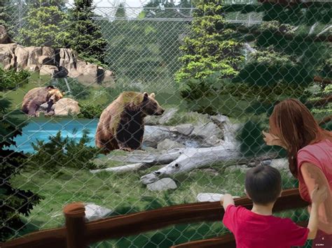 PGAV Destinations Designing Relocation of Big Bear Alpine Zoo | Zoo ...