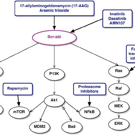 Mode of action of imatinib. The phosphorylation of a substrate is shown... | Download Scientific ...