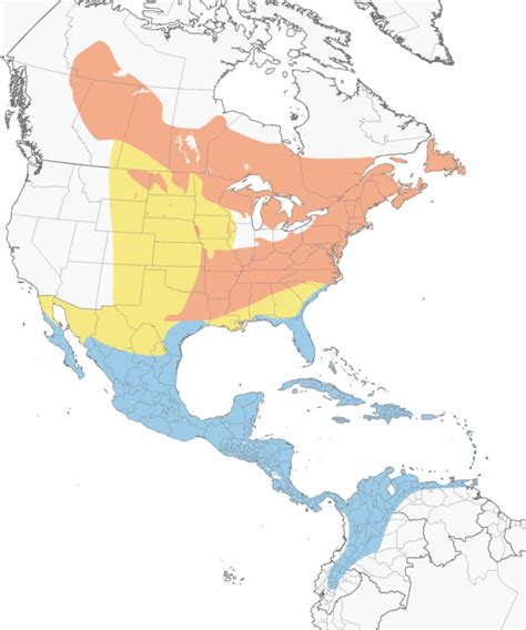 Blackpoll Warbler Migration Map