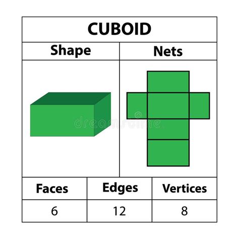 Cuboid Nets, Faces, Edges, Vertices. Geometric Figures are Set Isolated ...