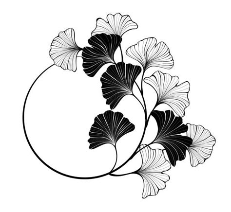 2,600+ Drawing Of Ginkgo Leaf Stock Illustrations, Royalty-Free Vector Graphics & Clip Art - iStock