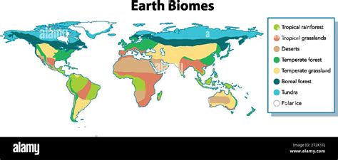 An illustrated world map showcasing diverse biomes through vibrant ...