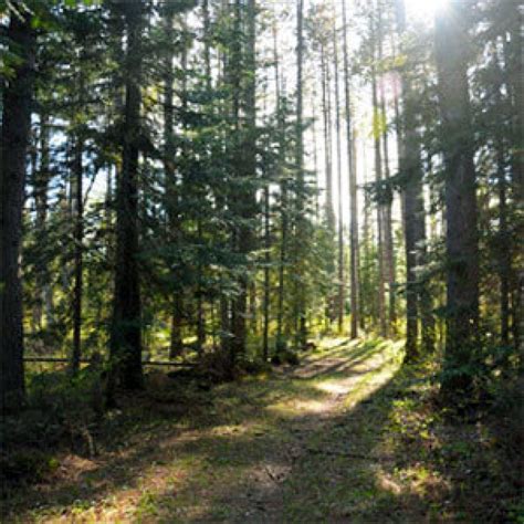 North Shore Hiking Trails | North Shore Visitor