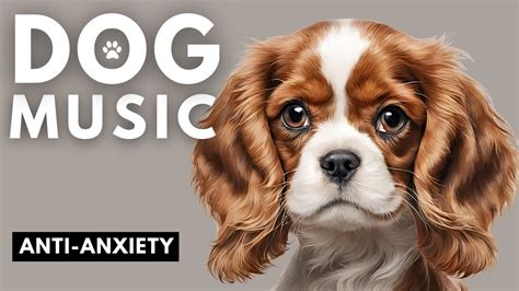 ANTI-ANXIETY Music for Dogs | Relax My Dog Music | Dog TV - YouTube