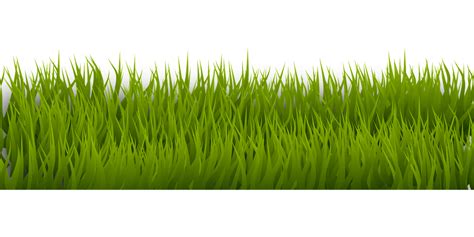 Background Rumput Vector - Gudang Gambar Vector PNG