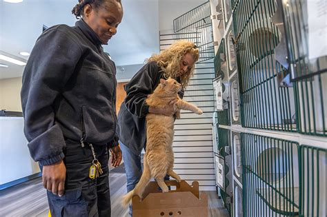 CMPD Animal Care & Control Opens Satellite Shelter Amidst Crisis