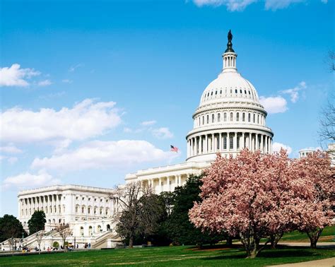 U.S. Capitol Building in Washington D.C | Free public domain photo - 421868