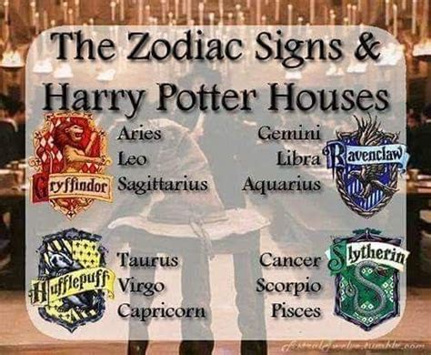 Pin by Amber Nicole Knox-Irvin on Zodiac Sign ♒♊ | Harry potter zodiac ...