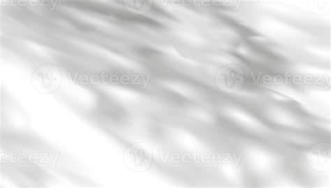 Leaves shadow overlay 22791207 PNG