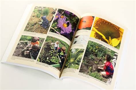 The School Garden Curriculum: An Integrated K-8 Guide - Outdoor Learning Store