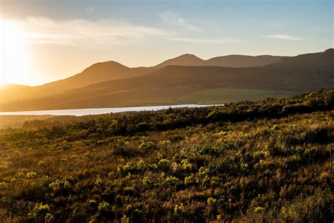 Overberg District Municipality Wetland Profile - ICLEI Africa