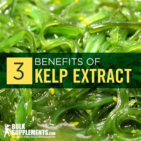 Top 159 + Sea kelp benefits for hair - polarrunningexpeditions