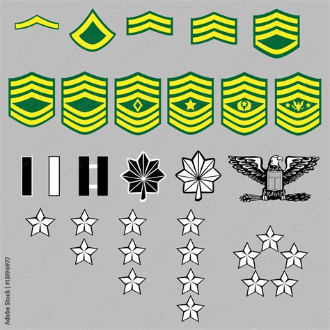 US Army rank insignia for officers and enlisted in vector Stock-Vektorgrafik | Adobe Stock