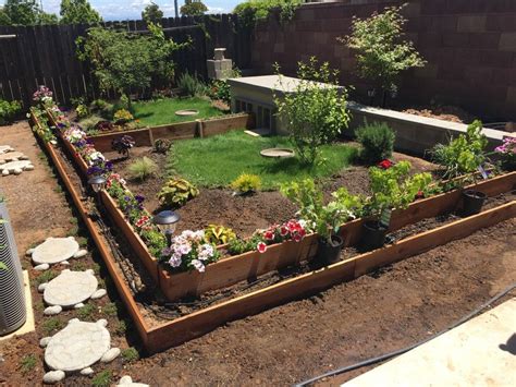 Outdoor tortoise enclosure | Outdoor tortoise enclosure, Tortoise enclosure, Sulcata tortoise